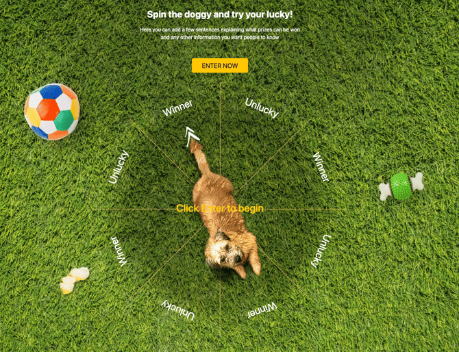 Spin Paddy Wheel Game